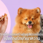 “จากเนื้อเยื่อไขมันสุนัขสู่เซลล์สร้างอินซูลิน” นักวิจัยสัตวแพทย์ จุฬาฯ สร้างความหวังใหม่ในการรักษาโรคเบาหวานในสัตว์เลี้ยง