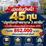เปิดรับสมัครแล้ว! ทุน “ปลูกต้นกล้าพยาบาล 3 สถาบัน” ม.หัวเฉียวเฉลิมพระเกียรติ ประจำปีการศึกษา 2570 จำนวน 45 ทุน ทุนละ 852,000 บาท